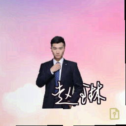 赵琳